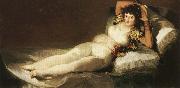 Francisco Goya The Clothed Maja oil